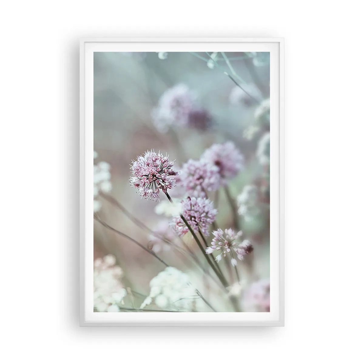 Plakát v bílém rámu - Sladké filigrány bylinek - 70x100 cm
