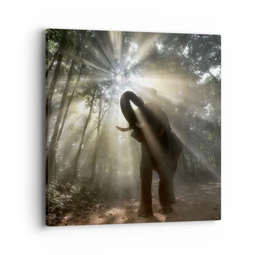 Obraz na plátně - Pod šťastnou hvězdou - 40x40 cm