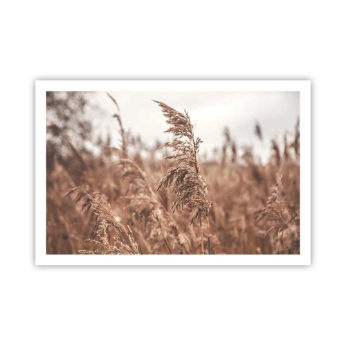 Plakát - Na polích už je podzim - 91x61 cm