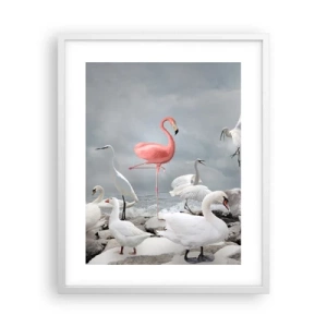 Plakát v bílém rámu - Kde jsem se tu vzal? - 40x50 cm