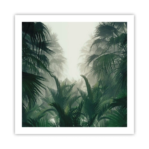 Plakát - Tropická záhada - 60x60 cm