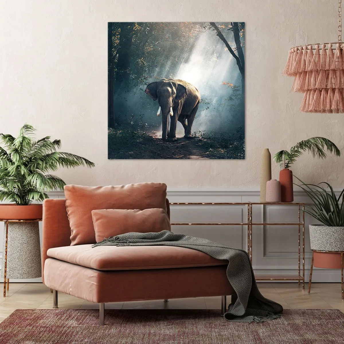 Obraz na plátně - Klidná procházka - 70x70 cm