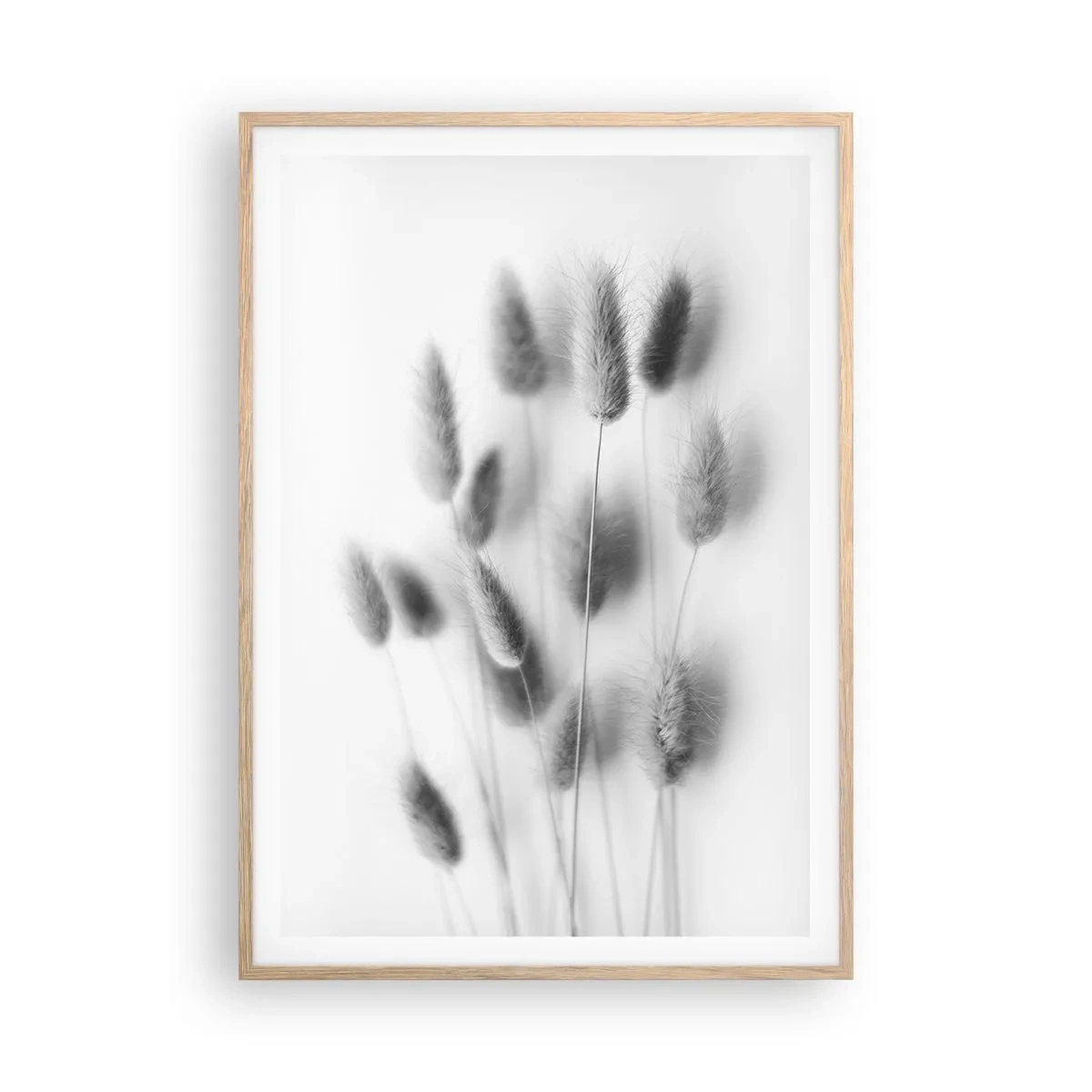 Plakát v rámu světlý dub - Její načechranost tráva - 70x100 cm