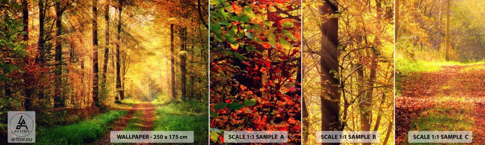 Vzor Fototapety Samolepicí Deluxe Sticker - Lesně-zlaté ticho - Krajina, Les, Lesní cesta - 100x30 cm