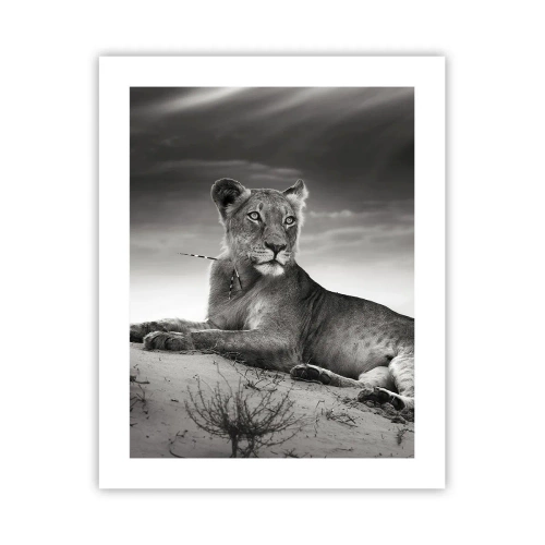 Plakát - Odpočinek královny pouště - 40x50 cm