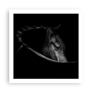 Plakát - Černý kníže - 60x60 cm