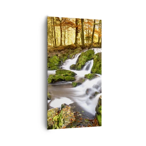 Obraz na plátně - Chvatem podzimním lesem - 65x120 cm