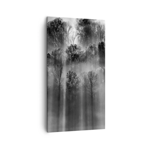 Obraz na plátně - V paprscích světla - 45x80 cm