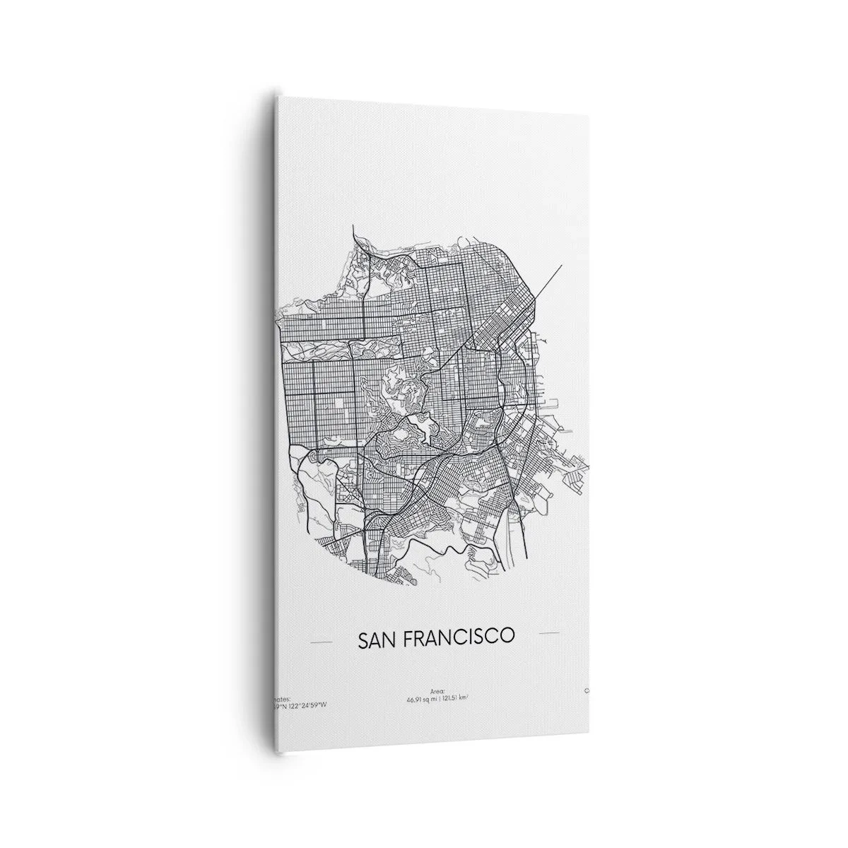 Obraz na plátně - Anatomie San Francisca - 65x120 cm