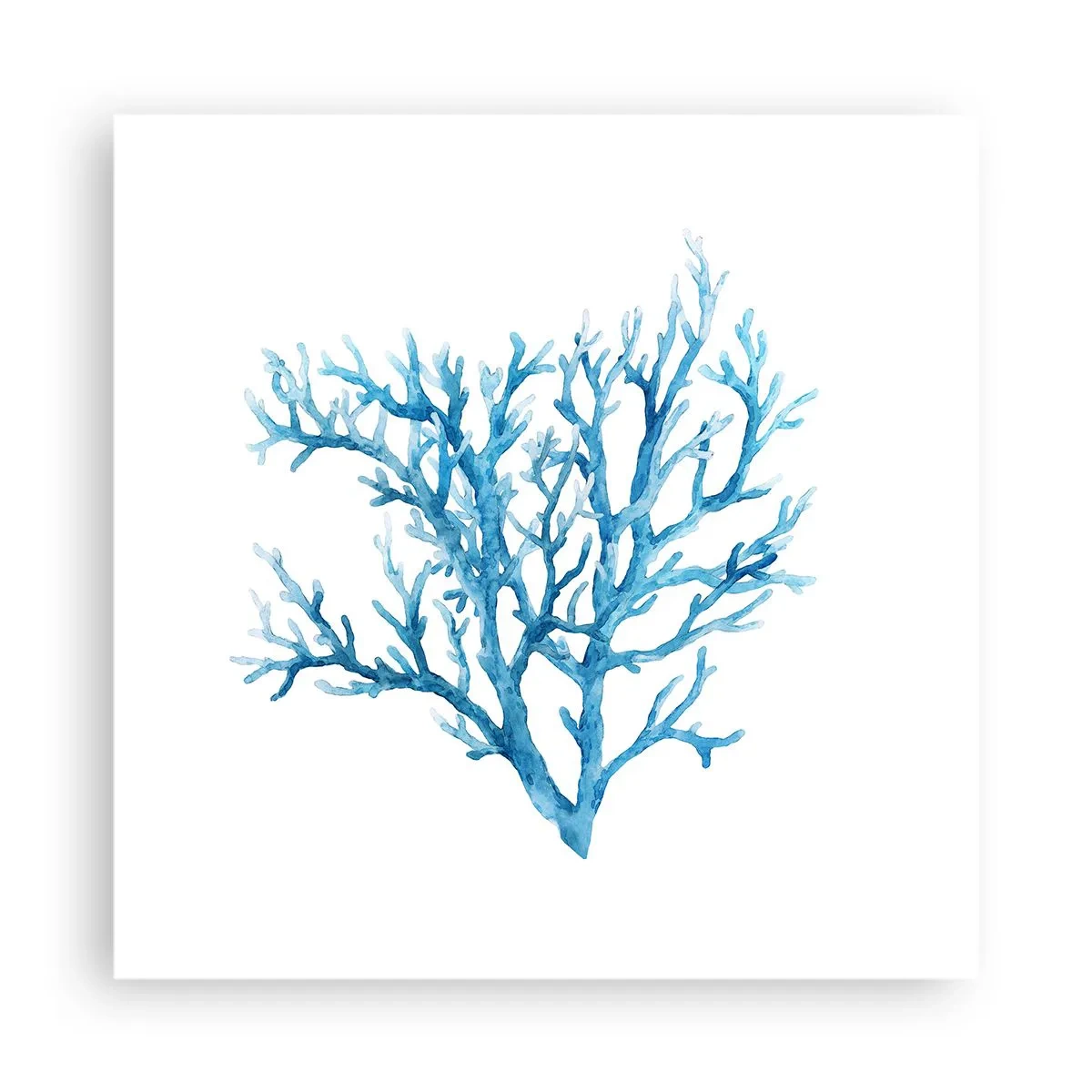 Plakát - Mořský filigrán - 40x40 cm