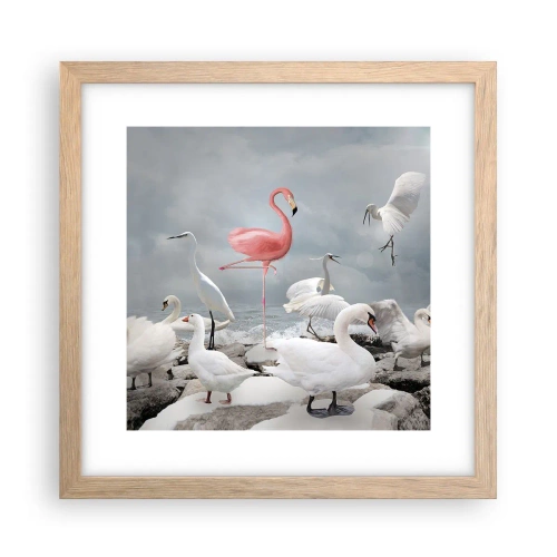 Plakát v rámu světlý dub - Kde jsem se tu vzal? - 30x30 cm