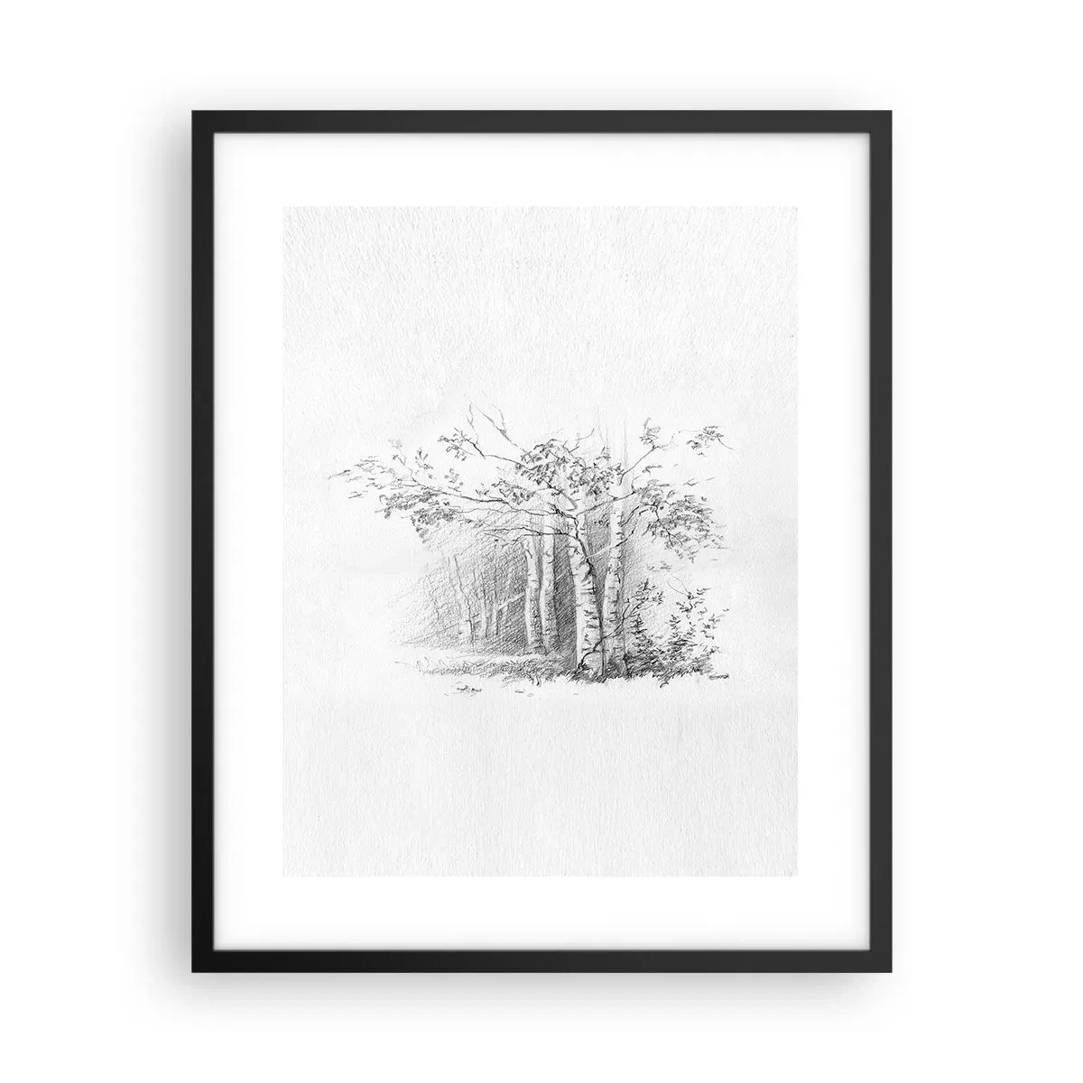 Plakát v černém rámu - Světlo březového lesa - 40x50 cm