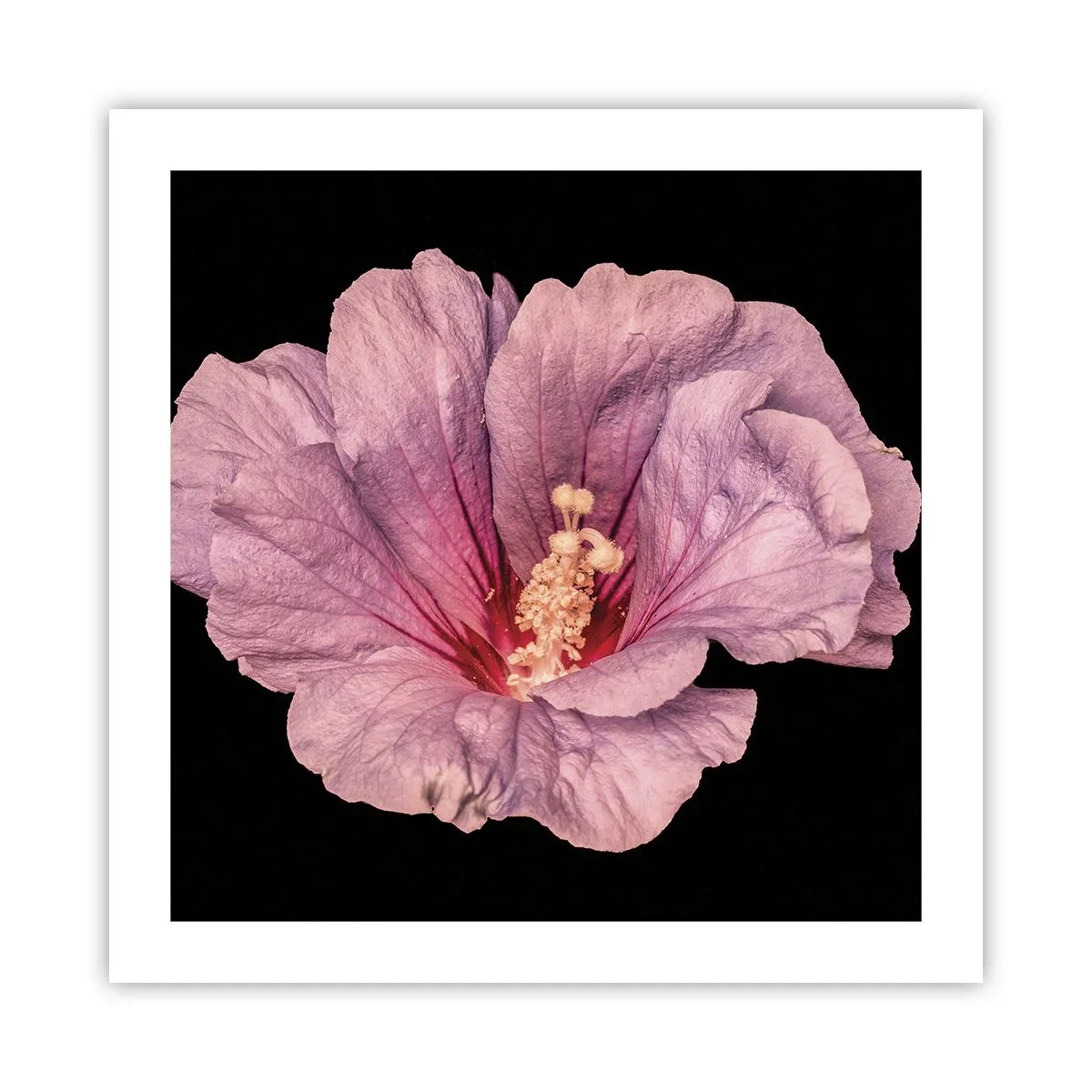 Plakát - Přímo do srdce - 50x50 cm