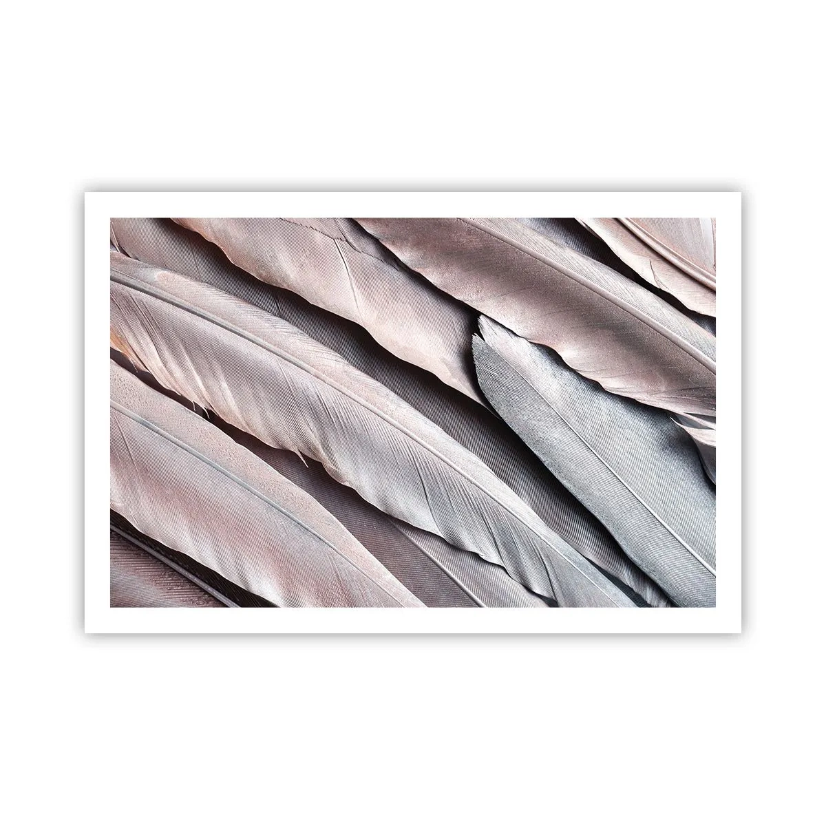 Plakát - V růžové a stříbrné - 91x61 cm