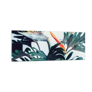 Obraz na skle - Ptákeř - 140x50 cm