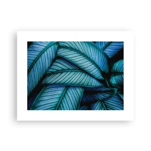 Plakát - Čáry života - 40x30 cm