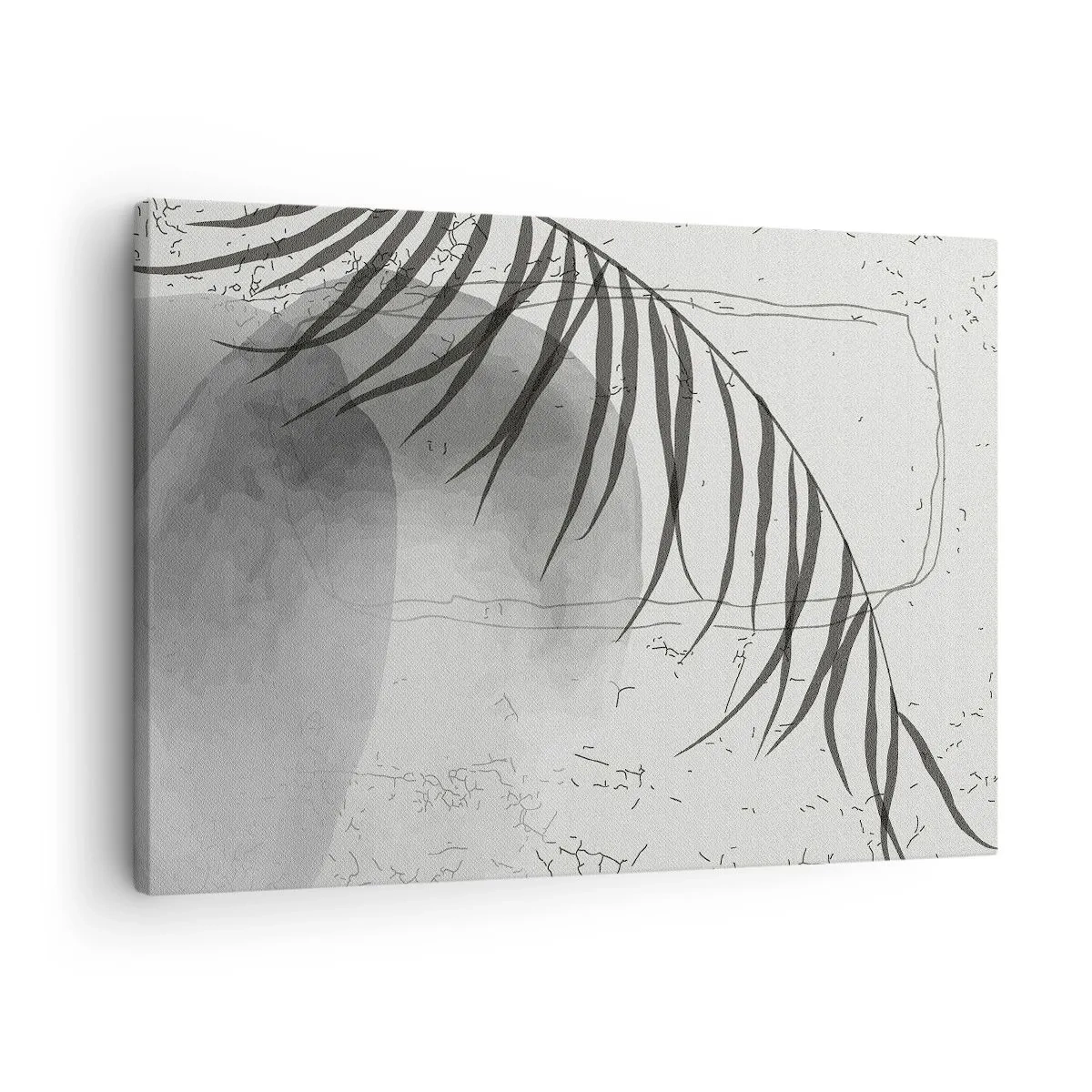 Obraz na plátně - Jemný motiv palmového listu na světlém pozadí ve skandinávském stylu. - 70x50cm - Subtilní exotika přírody - Moderní nástěnná dekorace do obývacího pokoje a ložnice ARTTOR