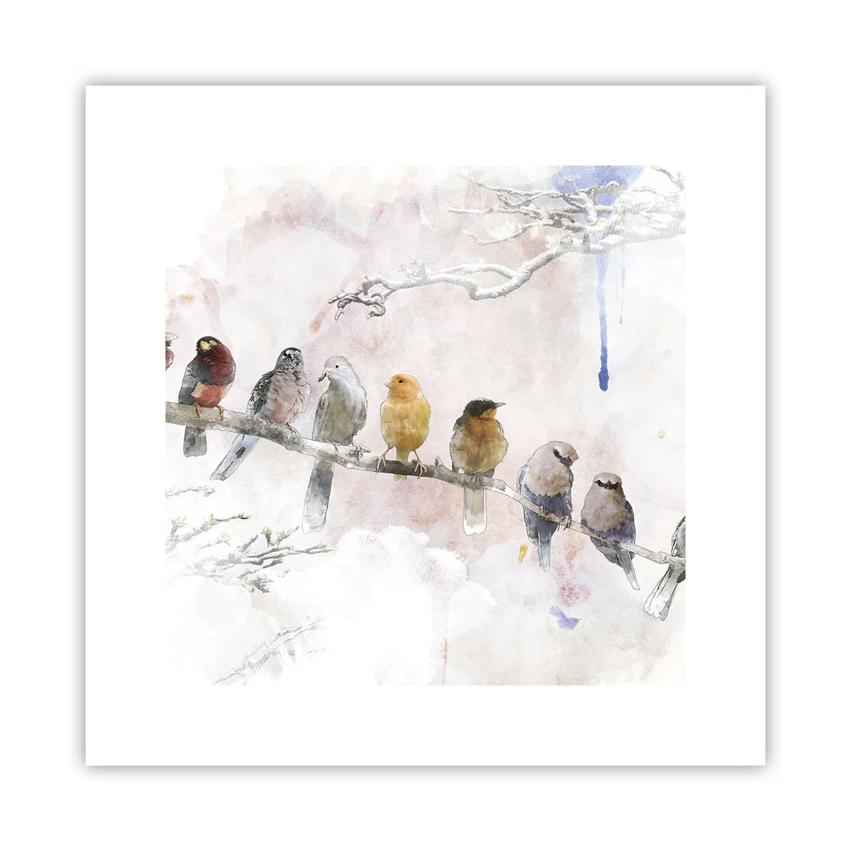 Plakát - Okřídlené setkání - 30x30 cm