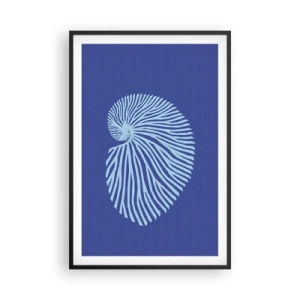 Plakát v černém rámu - Zrození mušle - 61x91 cm