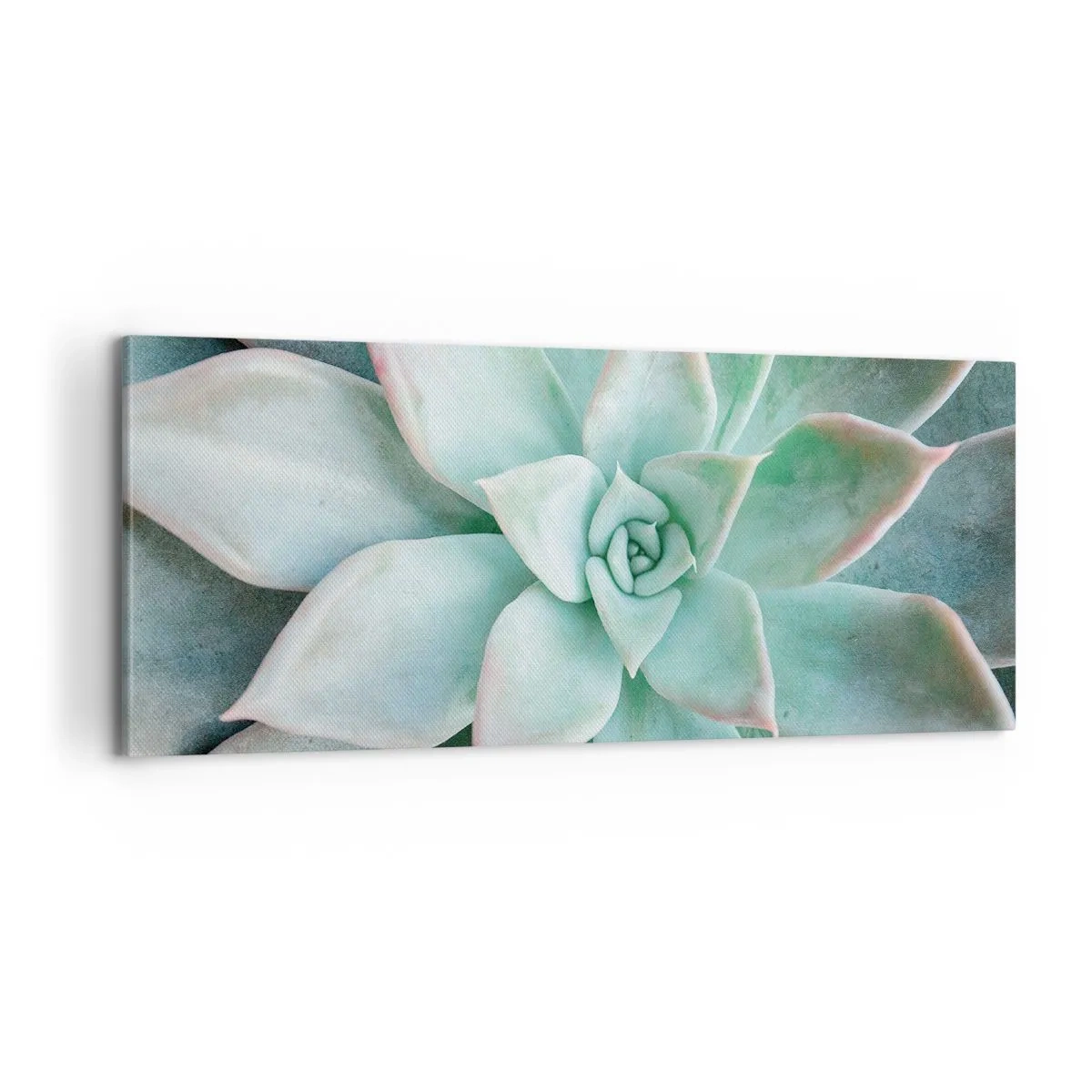 Obraz na plátně - Srdce pouště - 100x40 cm