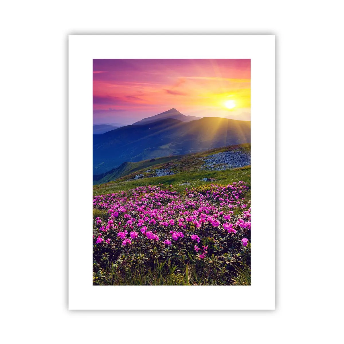 Plakát - …A kolem voní kosodřevina a voní byliny - 30x40 cm