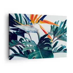 Obraz na plátně - Květina Strelitzia obklopená listy v jasném světle - 70x50cm - Ptákeř - Moderní nástěnná dekorace do obývacího pokoje a ložnice ARTTOR