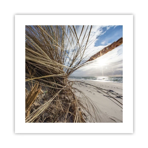 Plakát - Setkání živlů - 40x40 cm