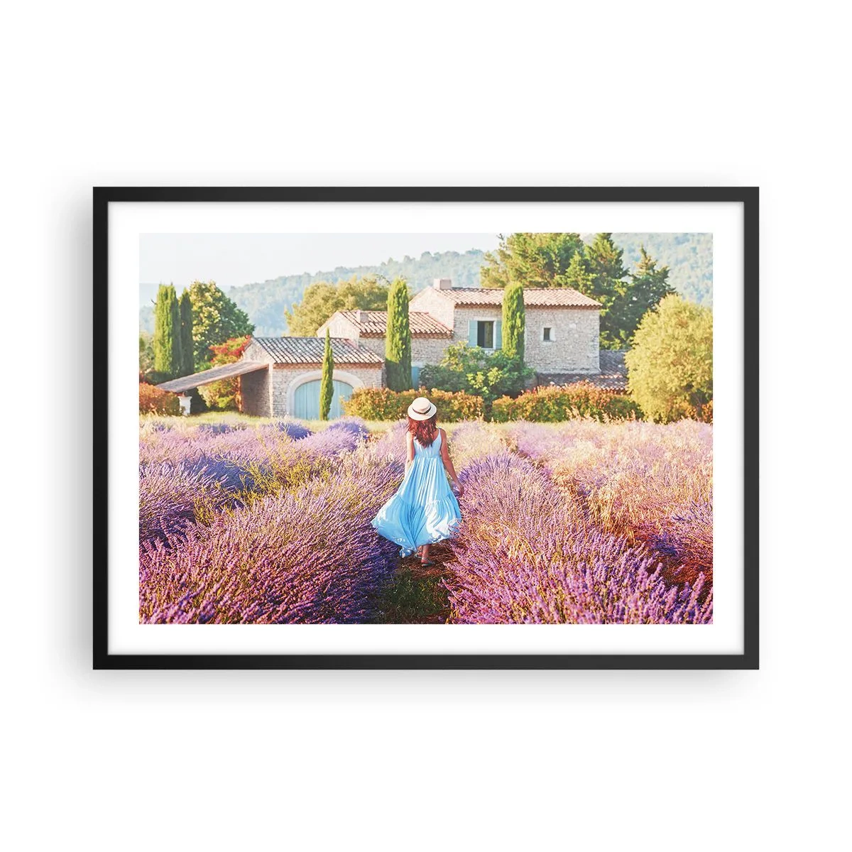 Plakát v černém rámu - Levandulová dívka - 70x50 cm