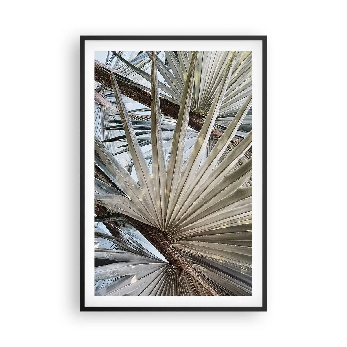 Plakát v černém rámu - Vějíře v tropech - 61x91 cm