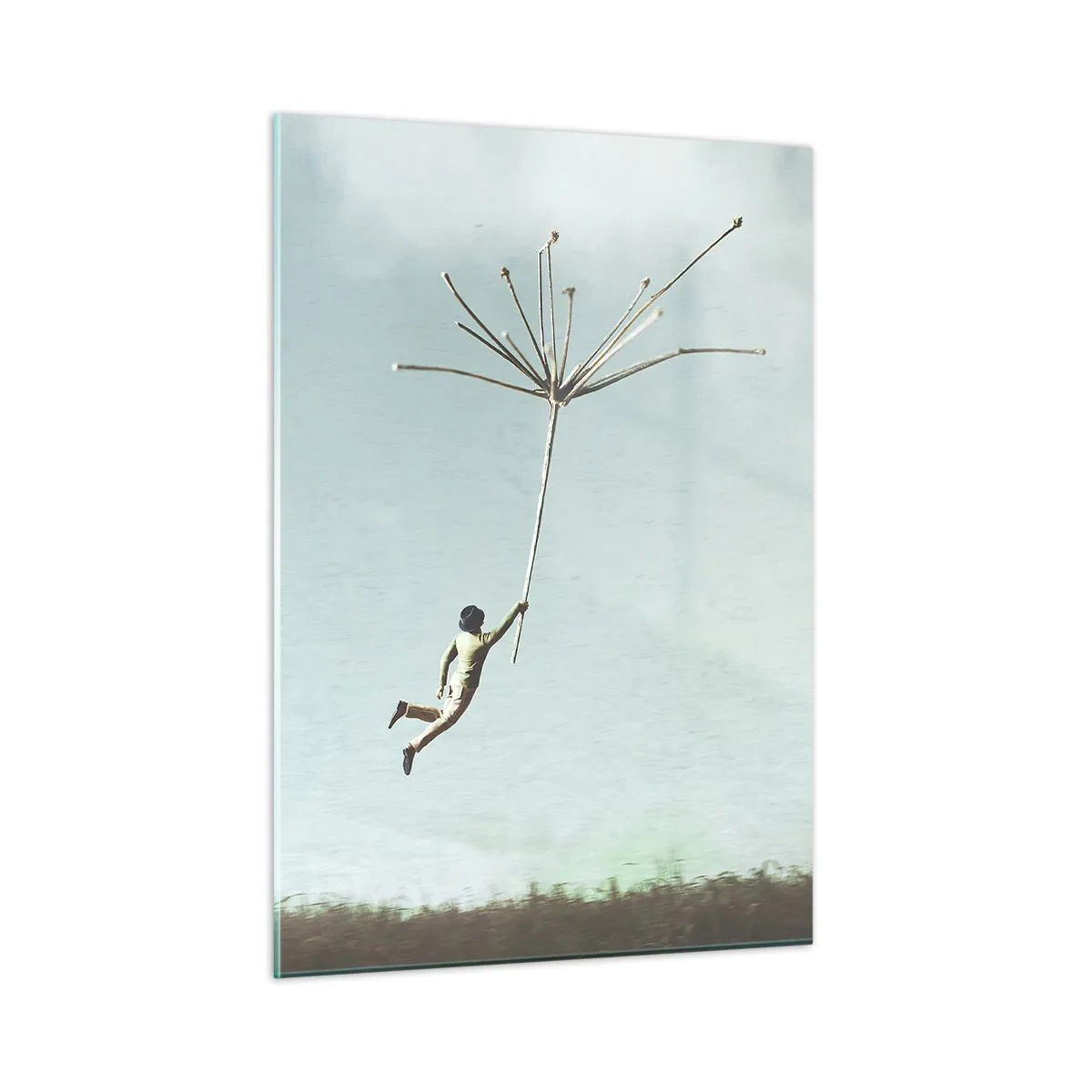 Obraz na skle - Letající pampeliška - 50x70 cm