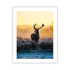 Plakát - Korunován na svém panství - 40x50 cm