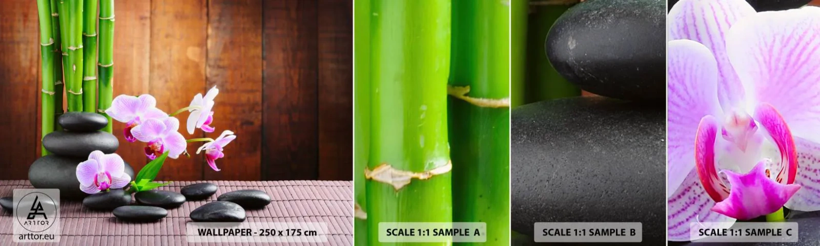 Fototapeta Vzorek Standard Eco - Seznamte se s potěšením východu - Květiny, Orchidej, Orchidej - 100x30 cm