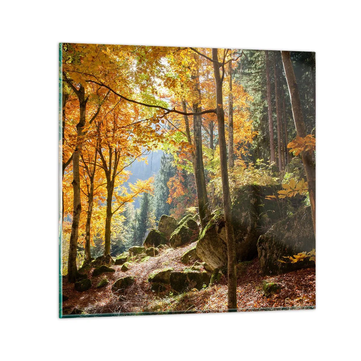 Obraz na skle - Čas na odpočinek - 70x70 cm