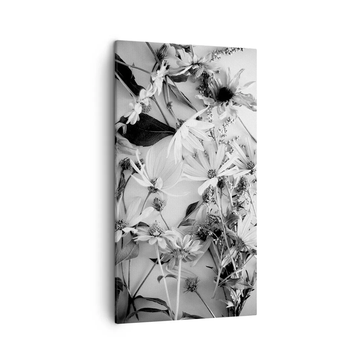 Obraz na plátně - Květiny bez kytice - 45x80 cm