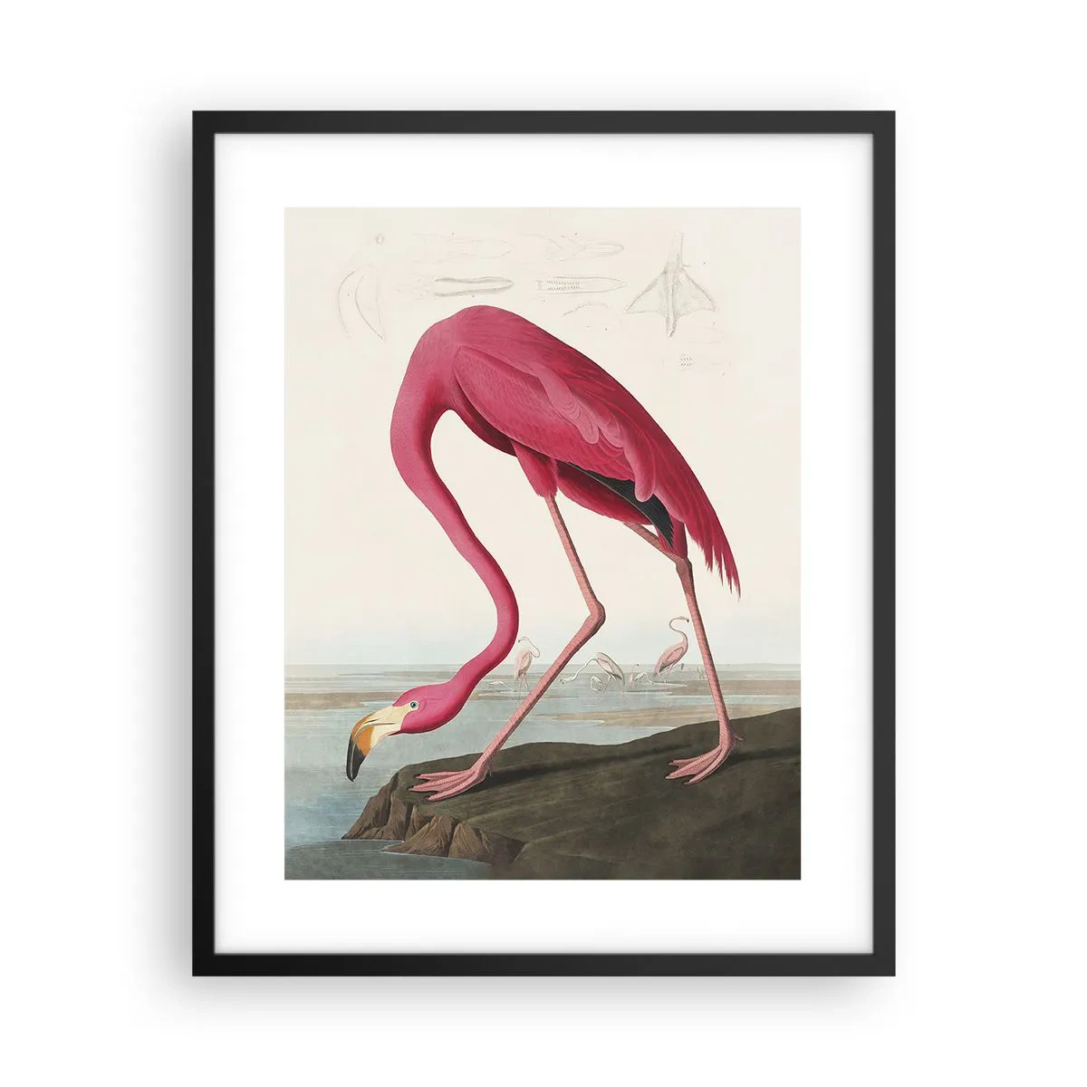 Plakát v černém rámu - Úžasná stvůra - 40x50 cm