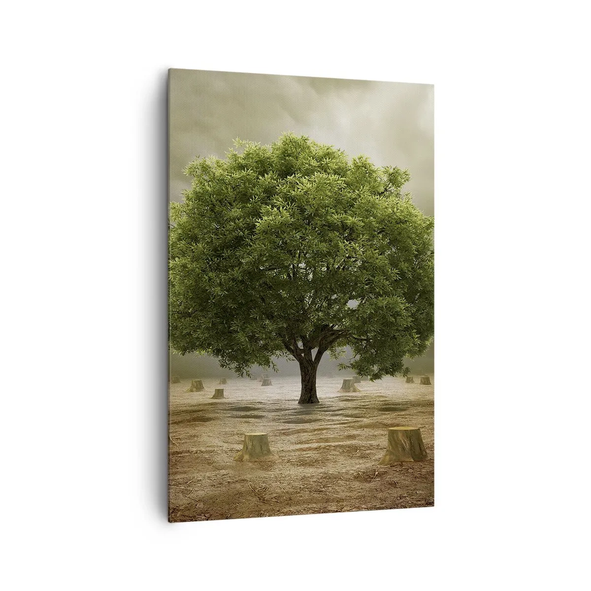 Obraz na plátně - Celá naděje - 80x120 cm