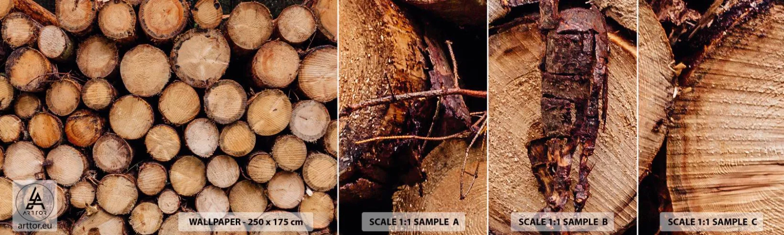 Fototapeta Vzorek Standard Eco - Nový začátek - Dřevo, Dřevěné kulatiny, Příroda - 100x30 cm