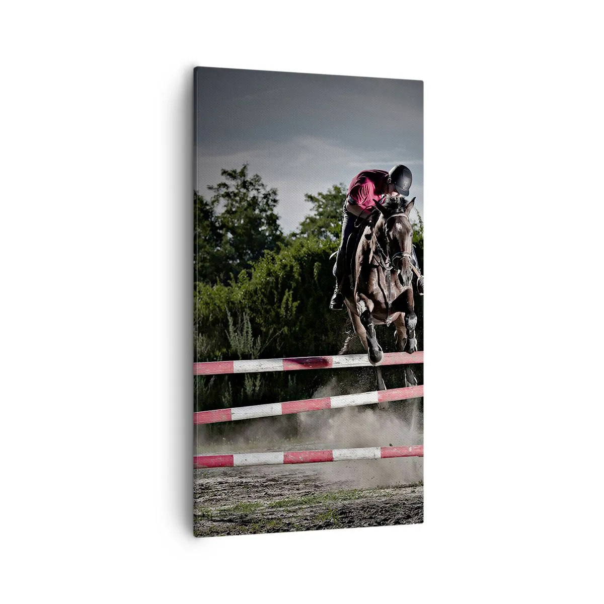 Obraz na plátně - Společně pro vítězství - 55x100 cm