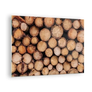 Obraz na skle - Svisle uspořádané kmeny stromů s viditelnými letokruhy - 70x50cm - Nový začátek - Moderní nástěnná dekorace do obývacího pokoje a ložnice ARTTOR