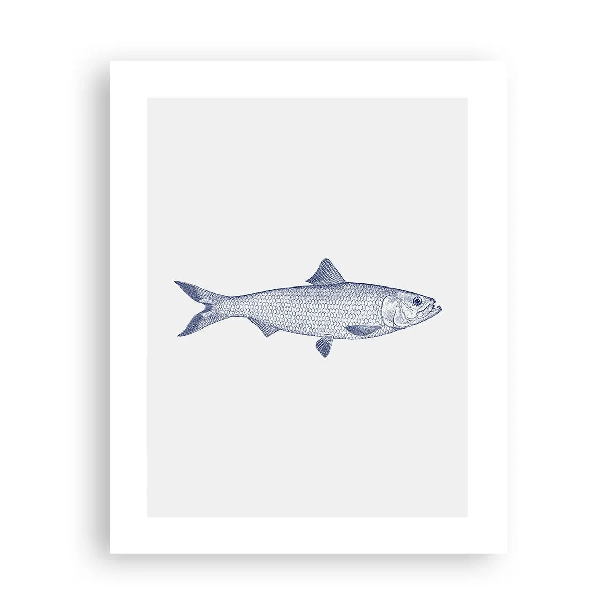 Plakát - Pozdravy ze severních moří - 40x50 cm