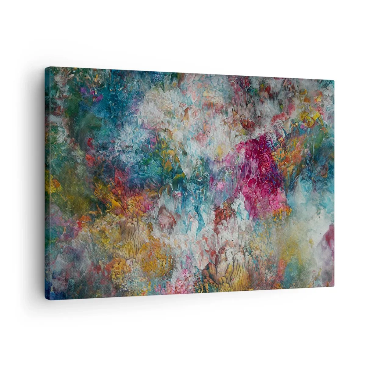Obraz na plátně - V plném rozkvětu - 70x50 cm