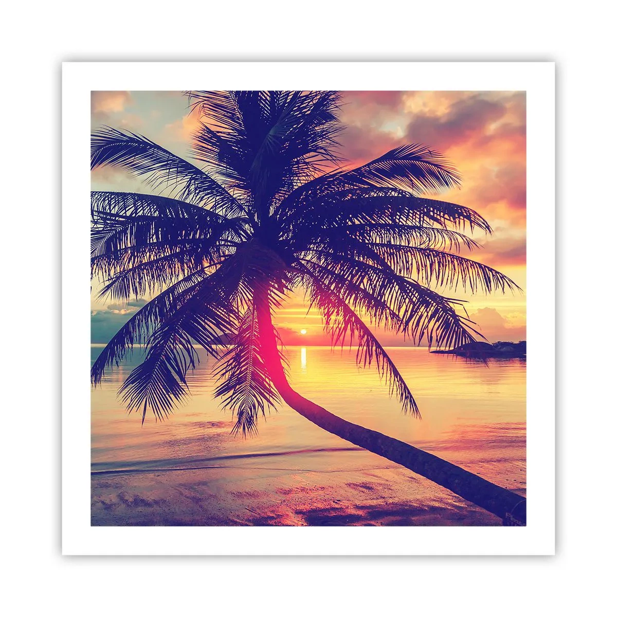 Plakát - Večer pod palmami - 60x60 cm