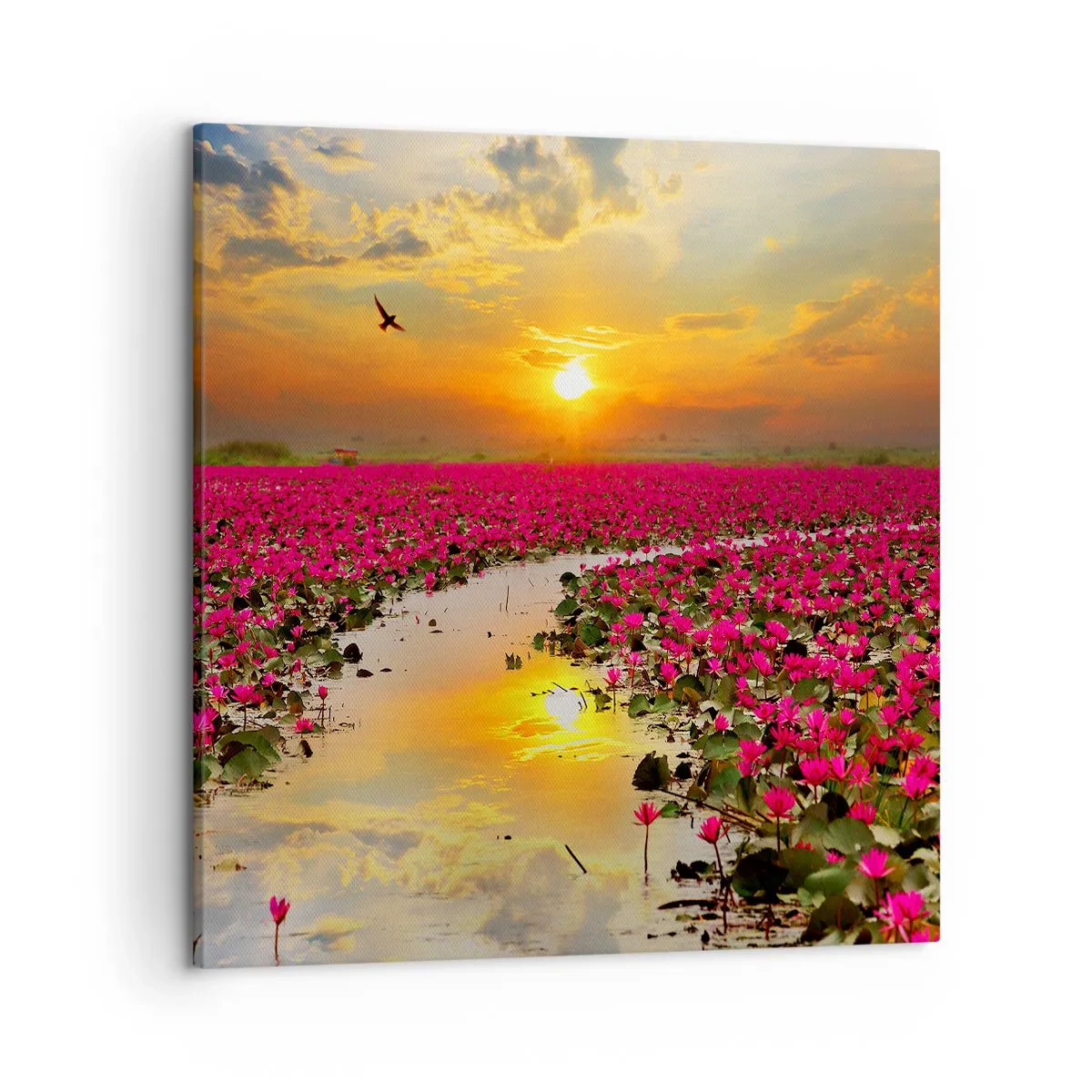 Obraz na plátně - Tajemný život jezera - 50x50 cm