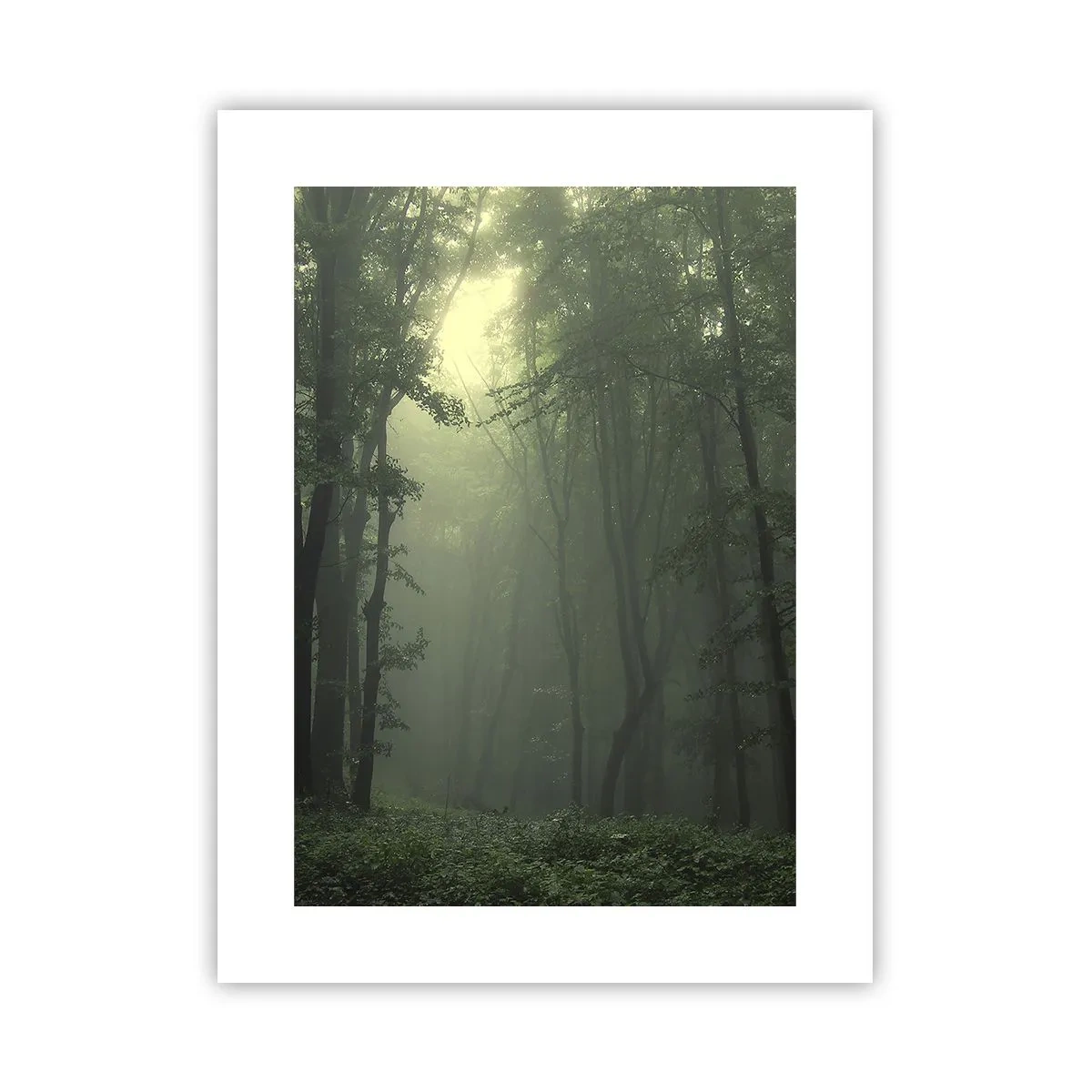 Plakát - Než se probudí - 30x40 cm