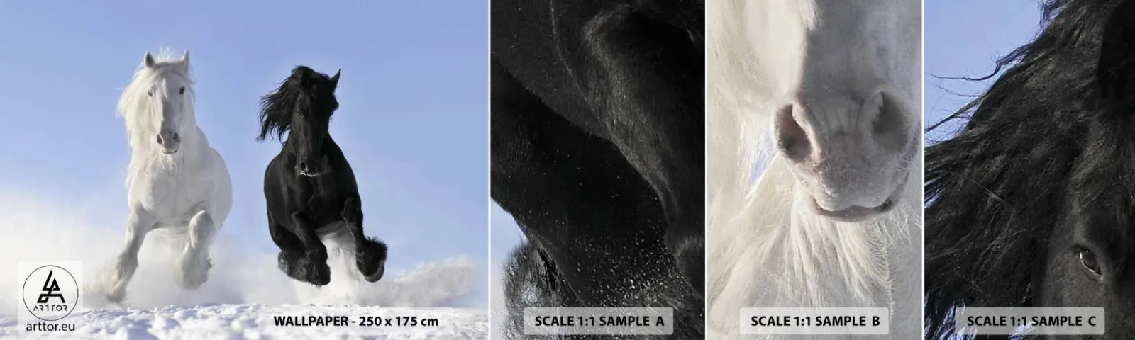 Fototapeta Vzorek Standard Eco - Černo-bílý cval - Zvířata, Kůň, Zima - 100x30 cm