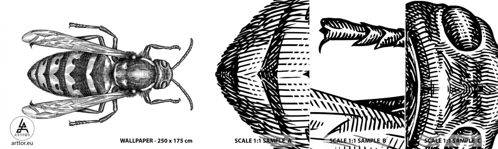 Vzor Fototapety Samolepicí Deluxe Sticker - Z hmyzí planety - Vosa, Hmyz, Minimalistický - 100x30 cm