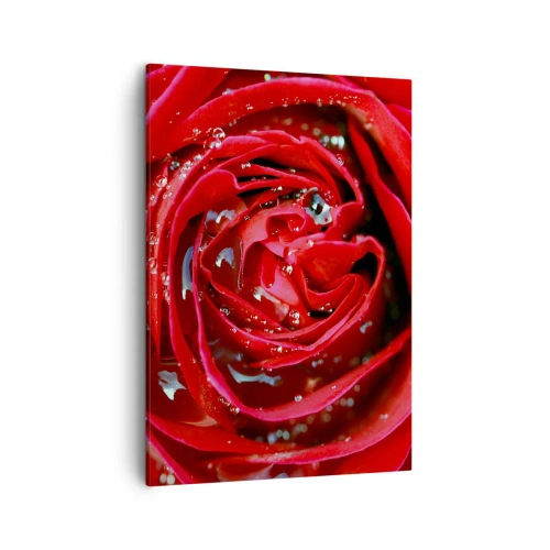 Obraz na plátně - V kapkách rosy - 50x70 cm