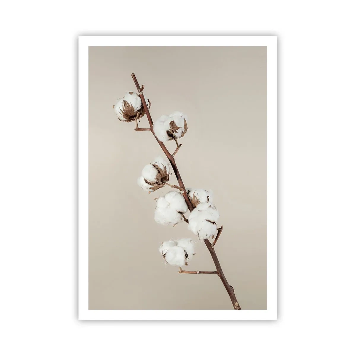 Plakát - U zdroje měkkosti - 70x100 cm