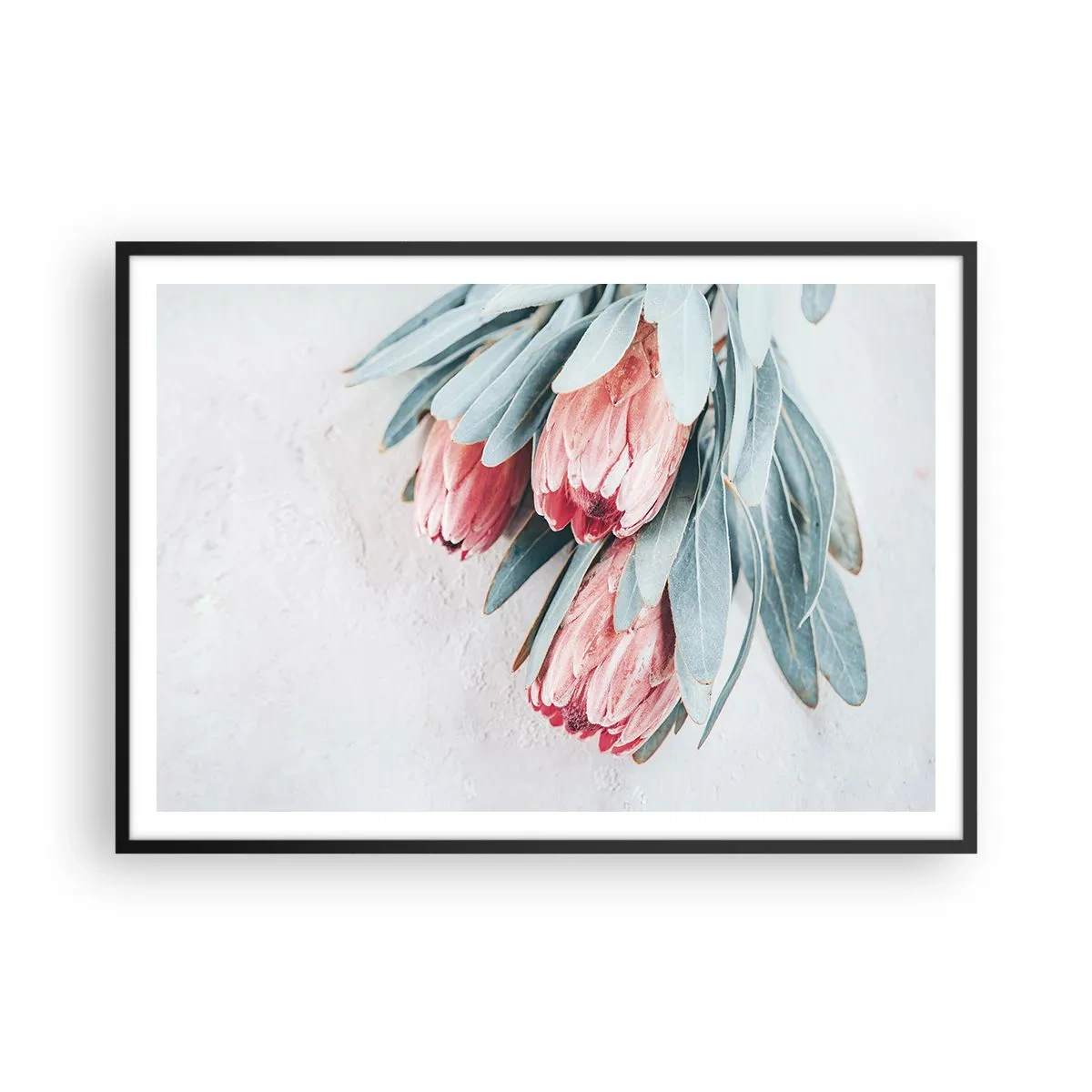 Plakát v černém rámu - Zahanbené svou vlastní krásou - 100x70 cm