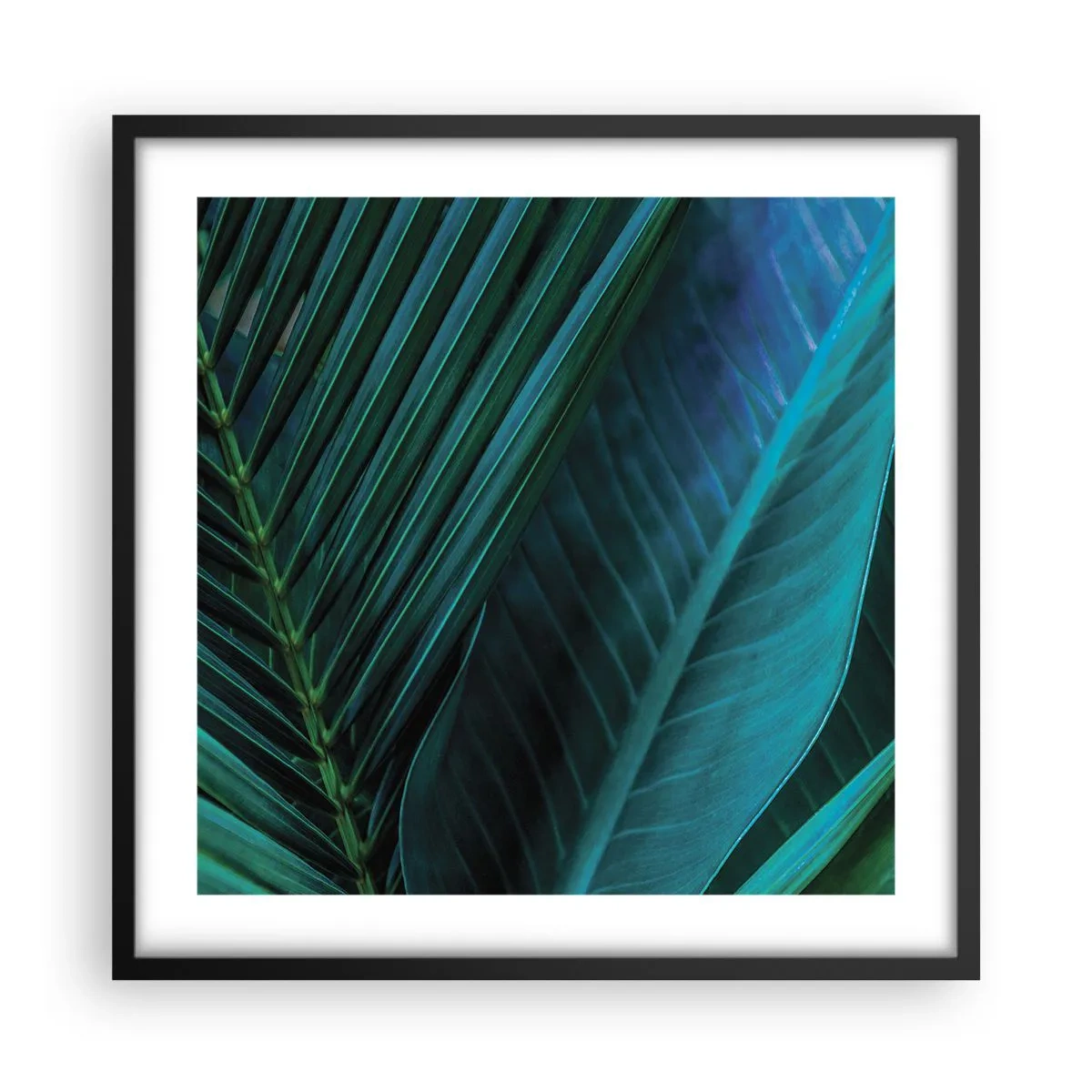 Plakát v černém rámu - Anatomie zelené - 50x50 cm